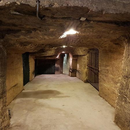 Chateau Fleur De Roques - Puisseguin Saint Emilion Eksteriør bilde