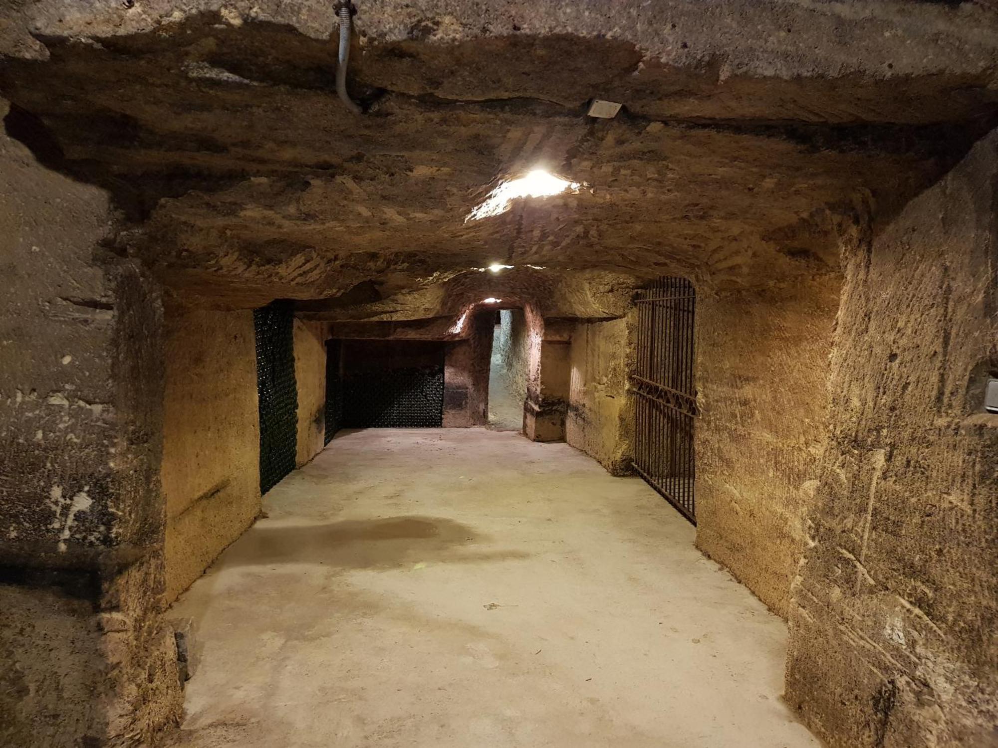 Chateau Fleur De Roques - Puisseguin Saint Emilion Eksteriør bilde