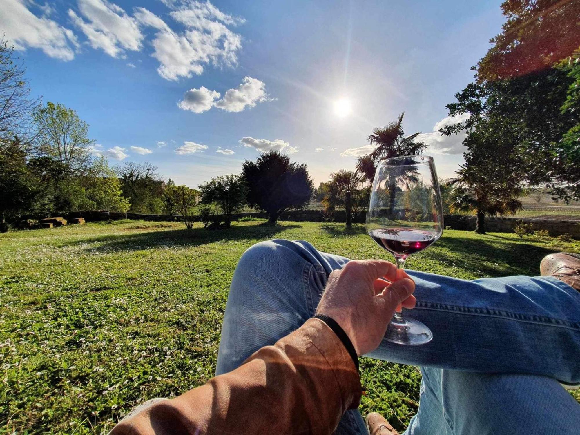 Chateau Fleur De Roques - Puisseguin Saint Emilion Eksteriør bilde