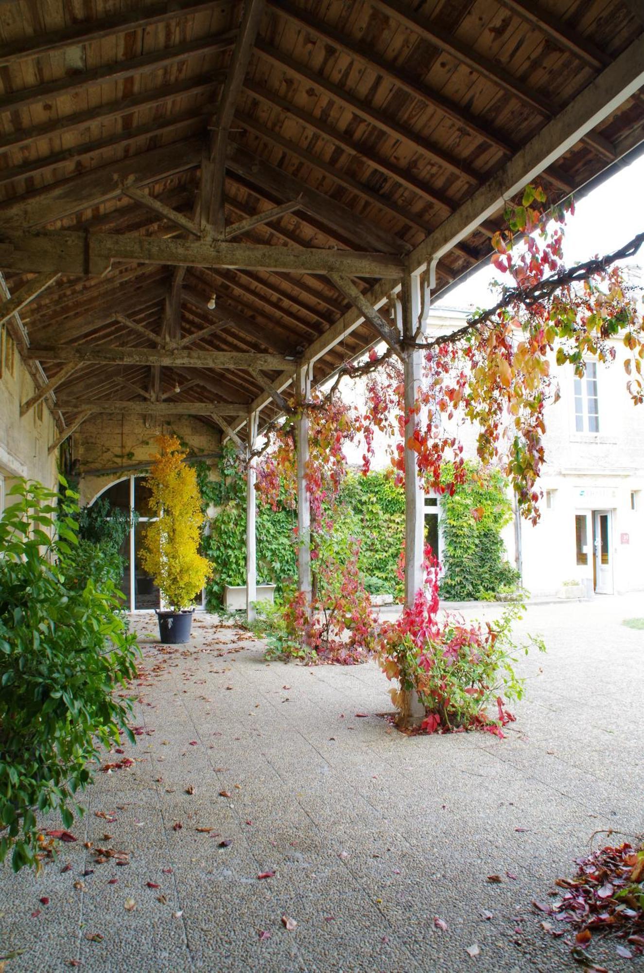 Chateau Fleur De Roques - Puisseguin Saint Emilion Eksteriør bilde